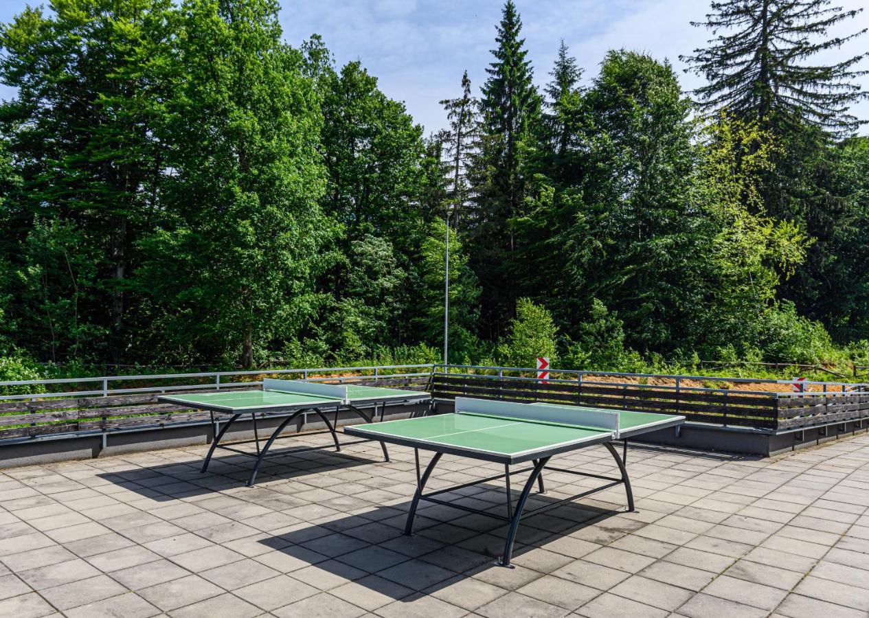 Fabulous Panorama Silver Mountain Apartments Poiana Brasov Buitenkant foto