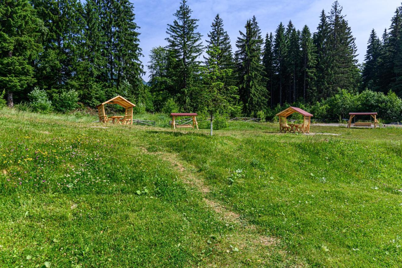 Fabulous Panorama Silver Mountain Apartments Poiana Brasov Buitenkant foto