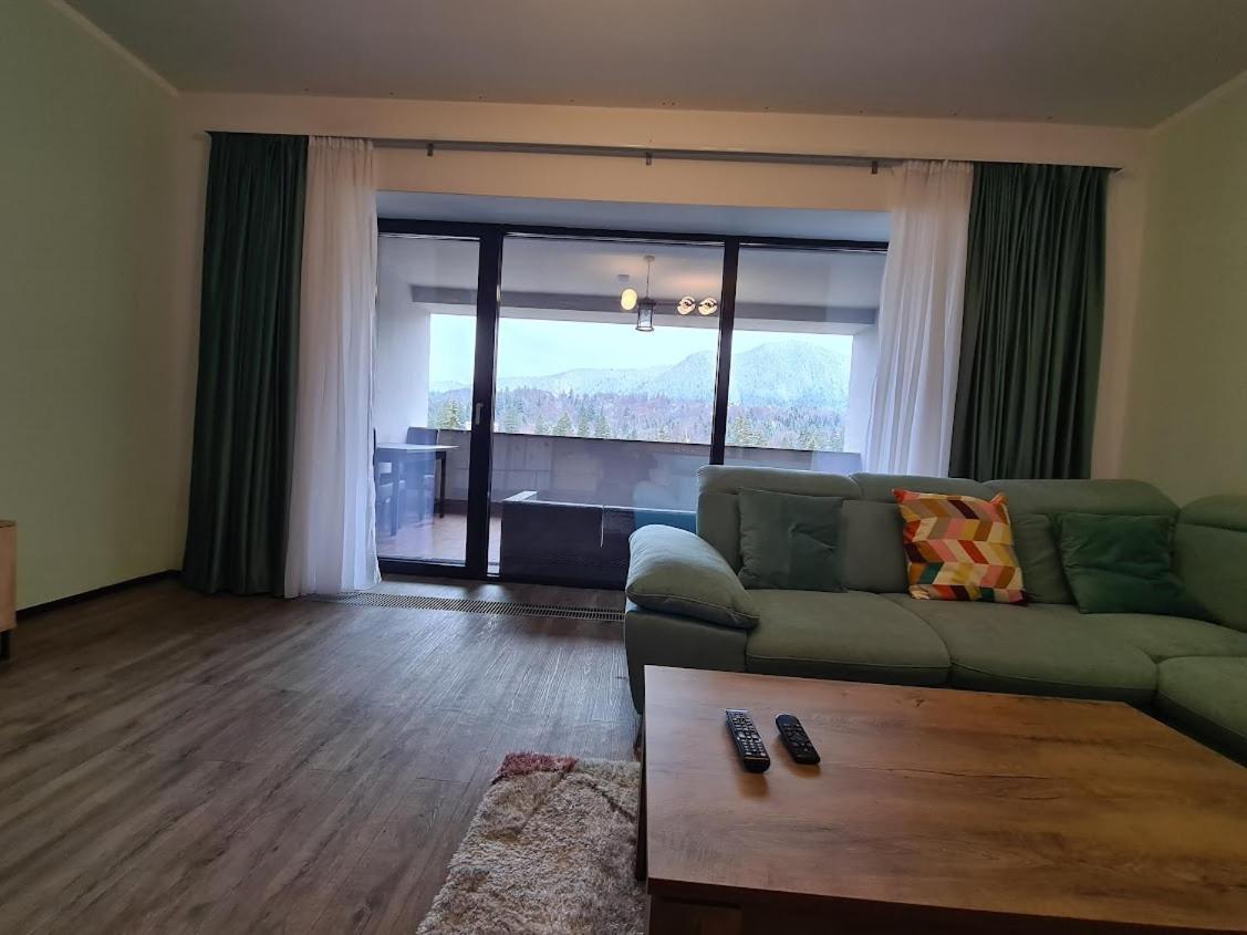 Fabulous Panorama Silver Mountain Apartments Poiana Brasov Buitenkant foto