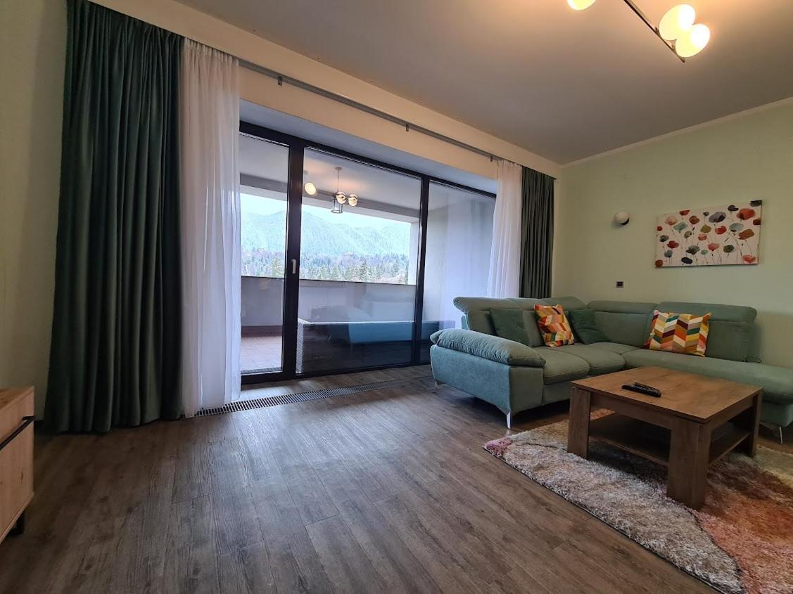 Fabulous Panorama Silver Mountain Apartments Poiana Brasov Buitenkant foto