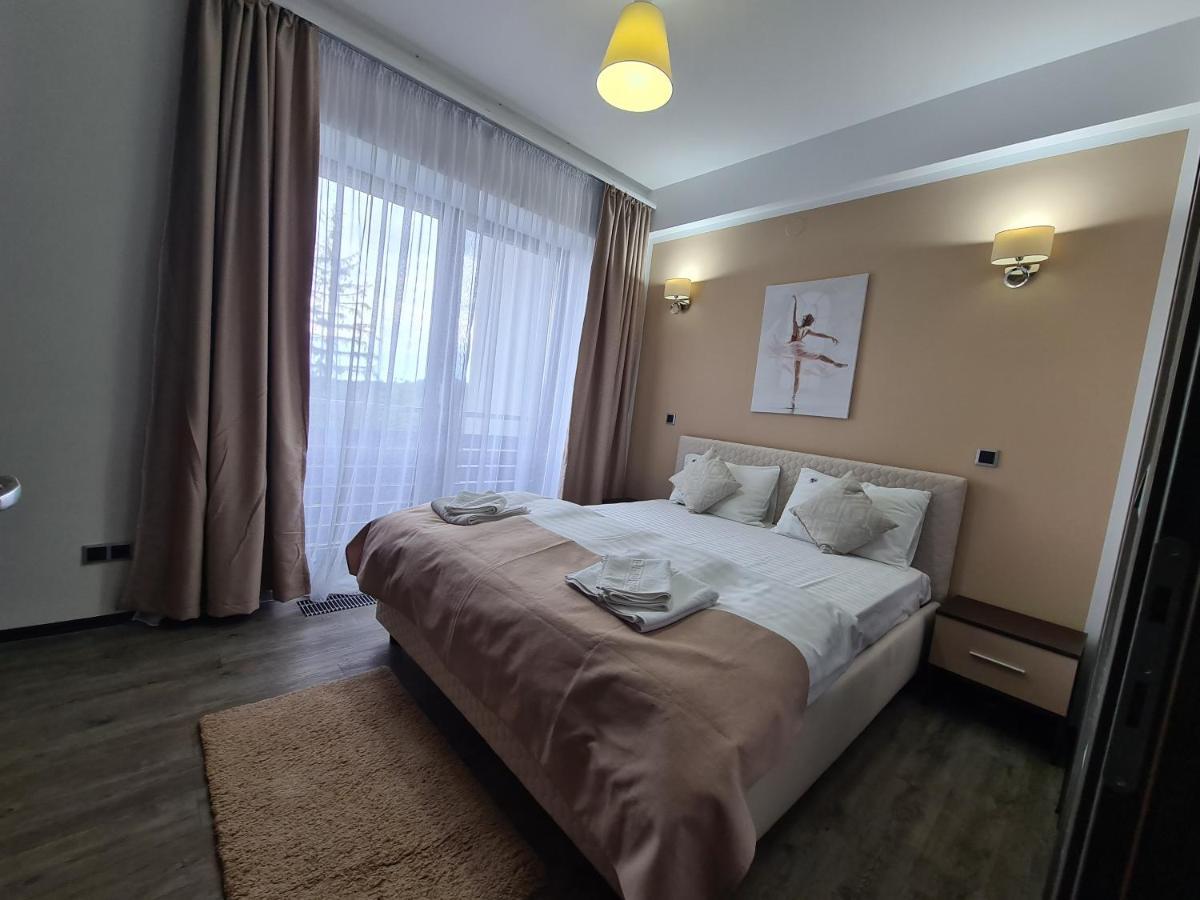 Fabulous Panorama Silver Mountain Apartments Poiana Brasov Buitenkant foto